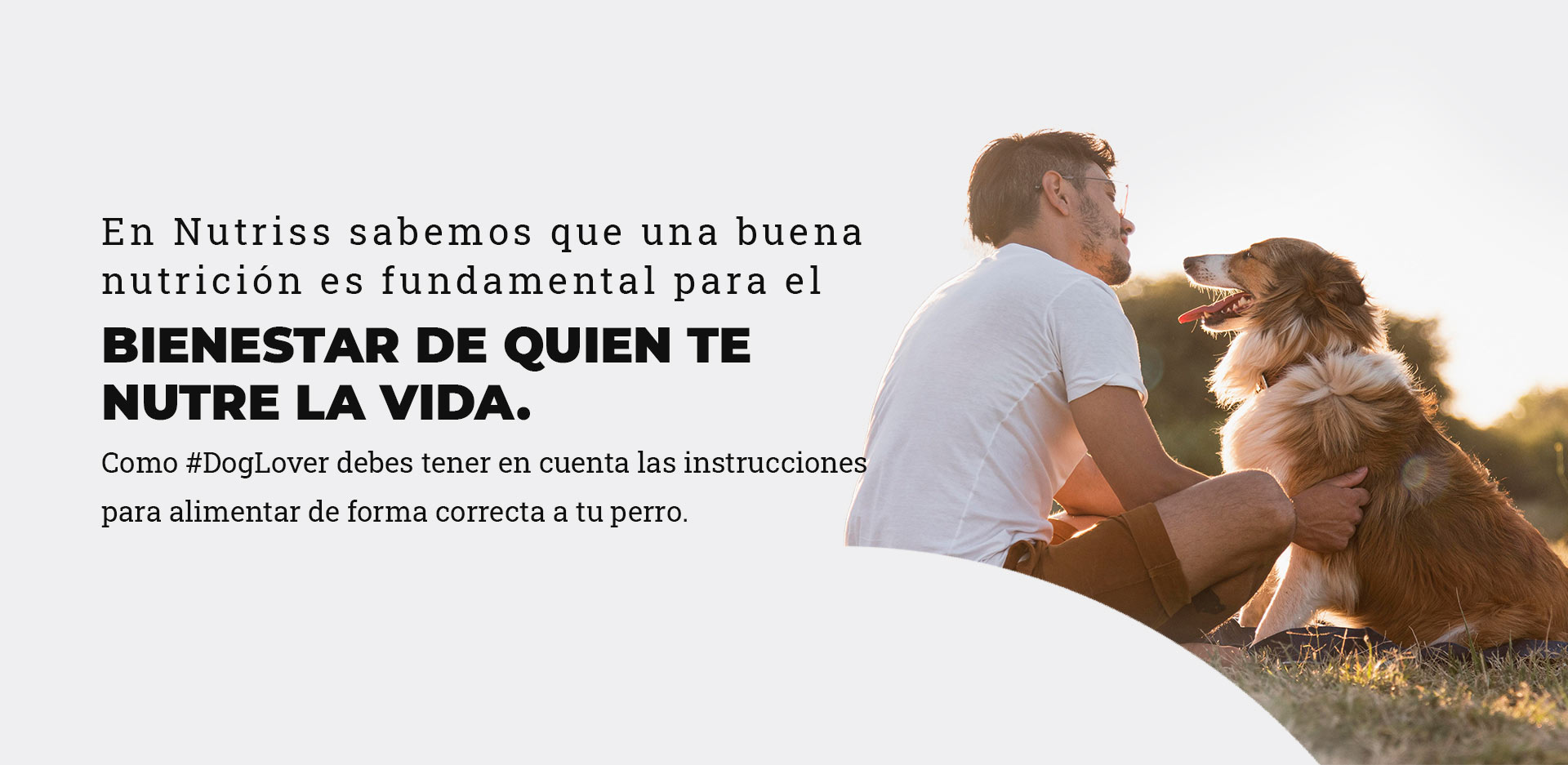 correcta transición